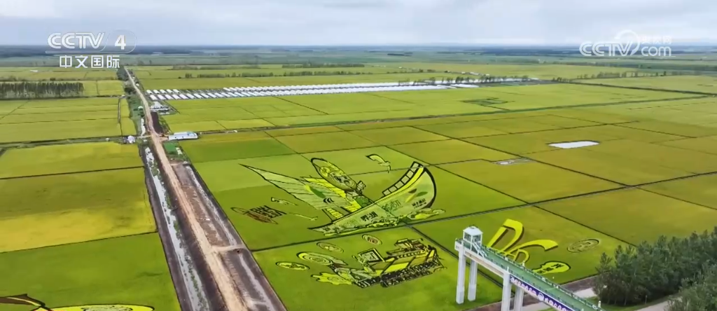 沙漠变粮仓：北大荒新型农业现代化道路的数据