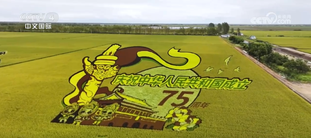 荒原变粮仓 “数”说北大荒新型农业现代化道路_荒原变粮仓 “数”说北大荒新型农业现代化道路_