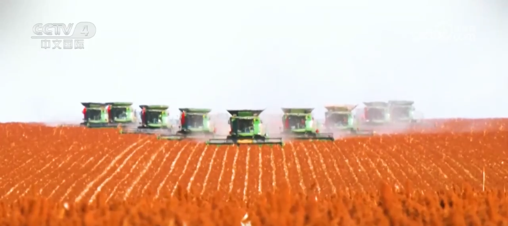 荒原变粮仓 “数”说北大荒新型农业现代化道路_荒原变粮仓 “数”说北大荒新型农业现代化道路_