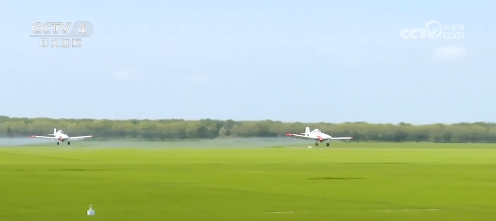 荒原变粮仓 “数”说北大荒新型农业现代化道路_荒原变粮仓 “数”说北大荒新型农业现代化道路_