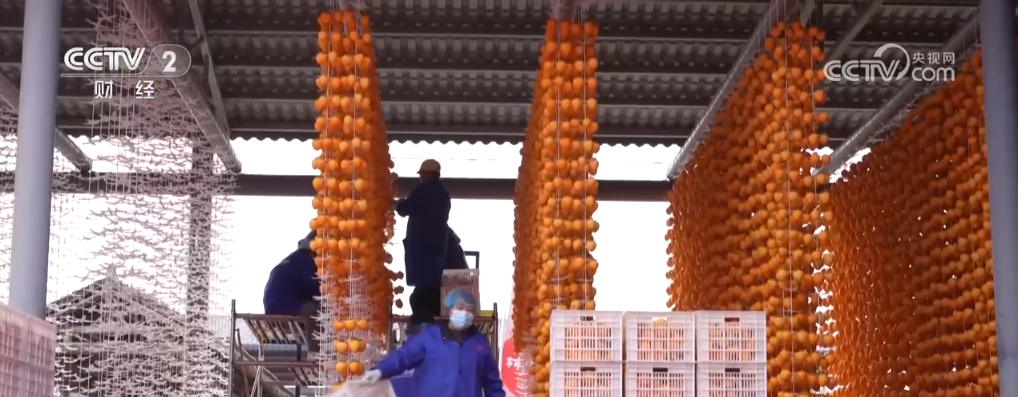 乡村振兴特色活动_振兴乡村产品_