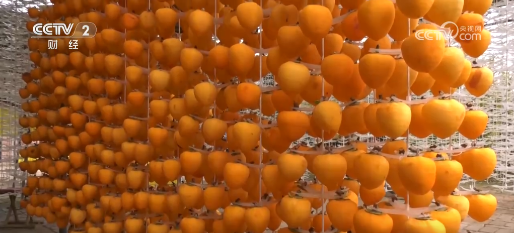 振兴乡村产品_乡村振兴特色活动_