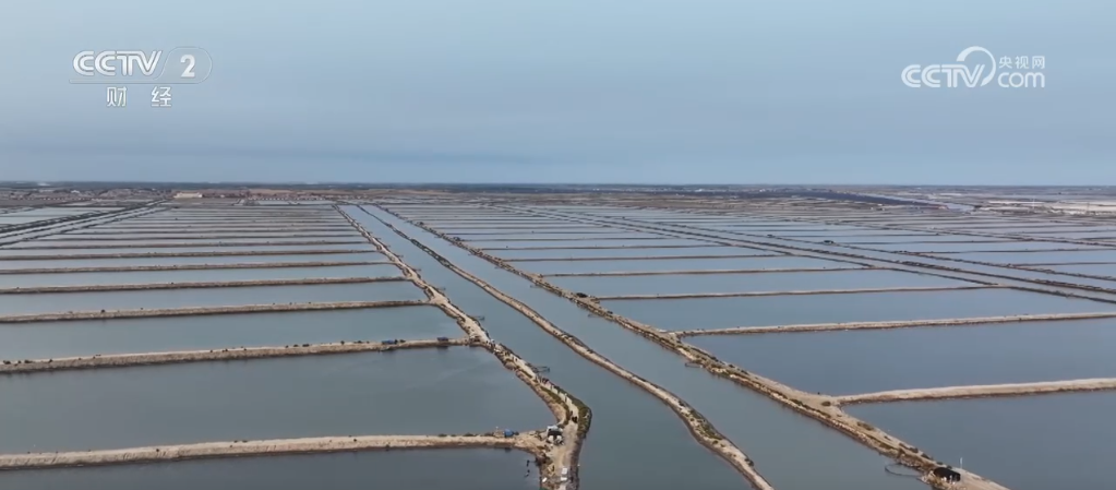 _振兴乡村产品_乡村振兴特色活动