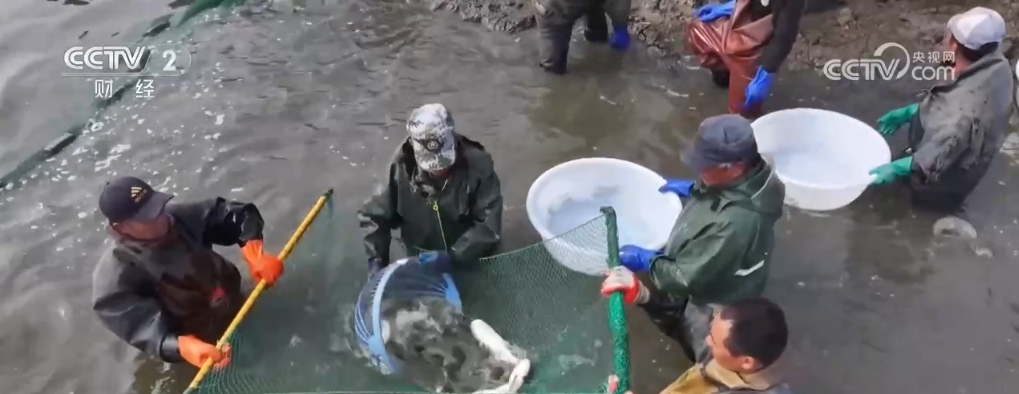 乡村振兴特色活动__振兴乡村产品