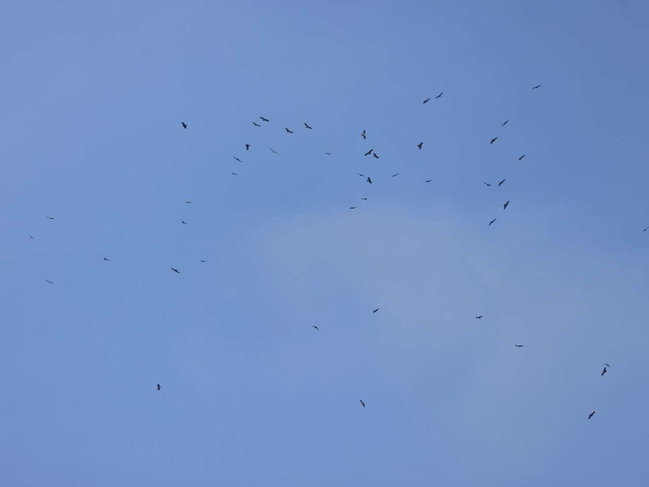 光明日报客户端