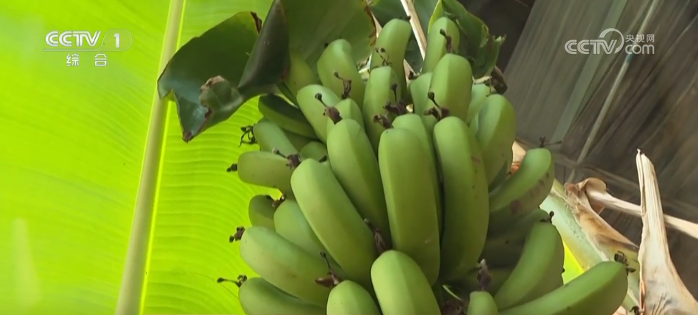 多彩丰收季_丰收多彩是什么意思_