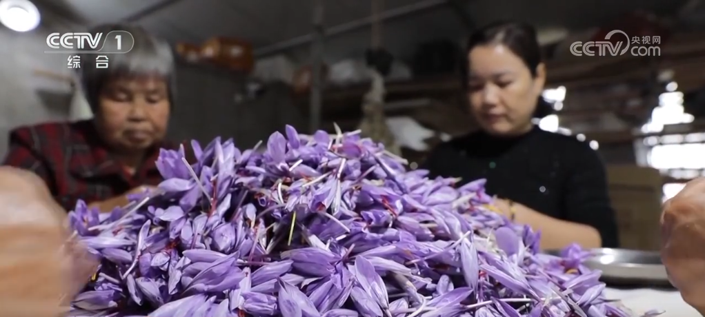 多彩丰收季_丰收多彩是什么意思_