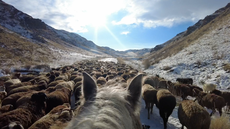 卤味包有哪些配料_隐隐作痛怎么写_