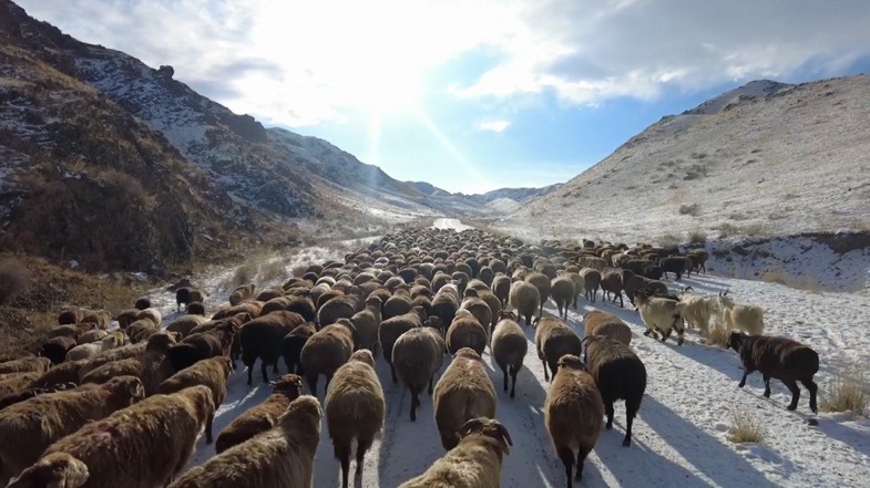 _隐隐作痛怎么写_卤味包有哪些配料