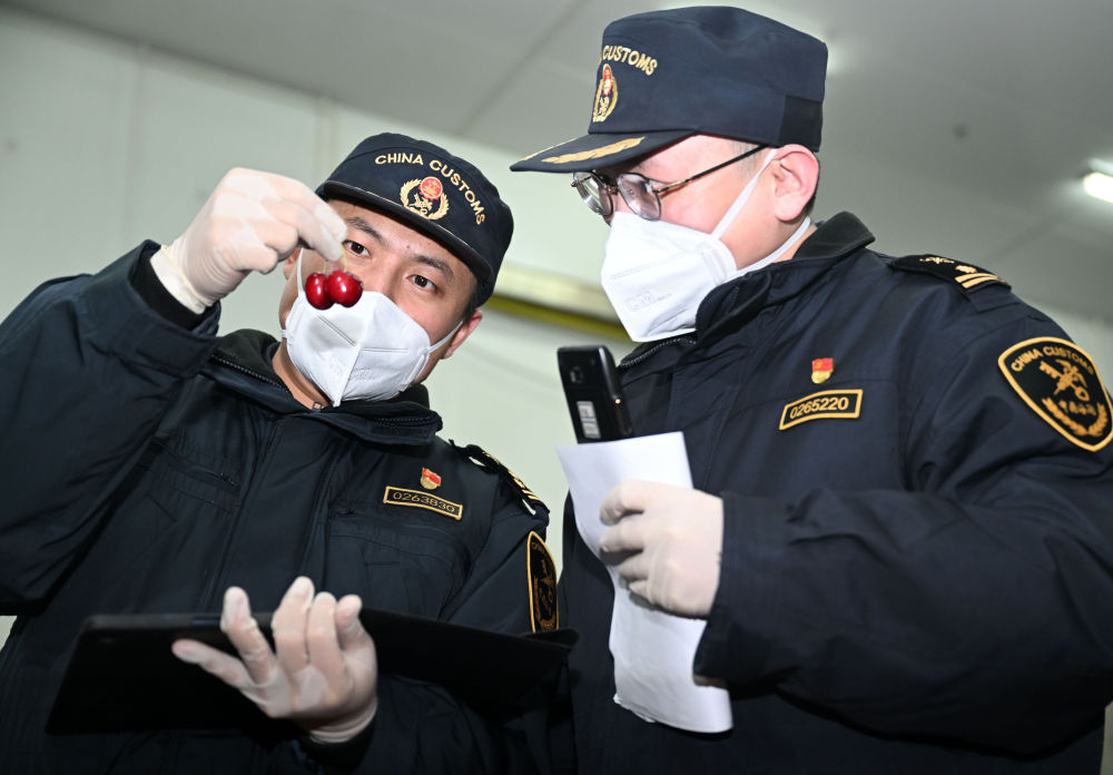 一带一路故事绘 | 漂洋过海的智利“车厘子快线”__一带一路故事绘 | 漂洋过海的智利“车厘子快线”