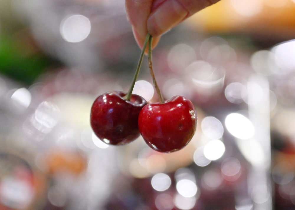 一带一路故事绘 | 漂洋过海的智利“车厘子快线”__一带一路故事绘 | 漂洋过海的智利“车厘子快线”