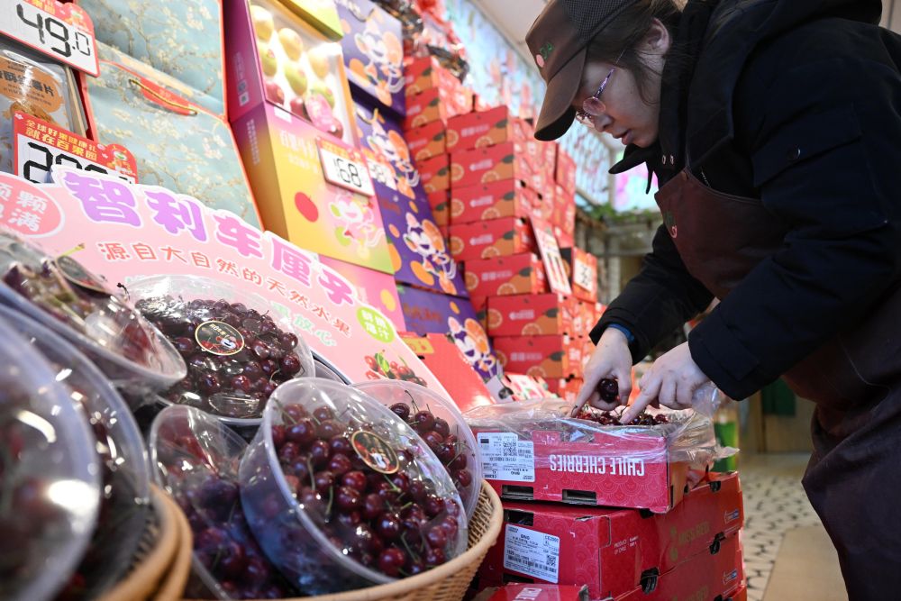 一带一路故事绘 | 漂洋过海的智利“车厘子快线”__一带一路故事绘 | 漂洋过海的智利“车厘子快线”