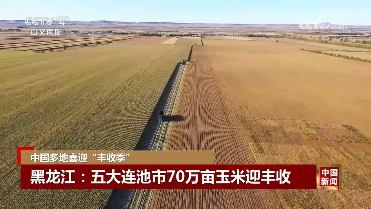 金秋时节，五谷丰登，中国许多地方迎来了丰收的季节
