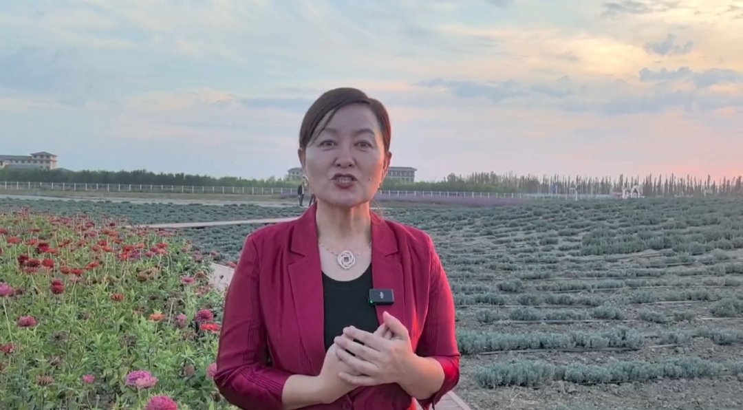 构建强大共同体 团结中华民族 | 哈菁：“我家有五个民族，最自豪的是自己是中华民族的一员”