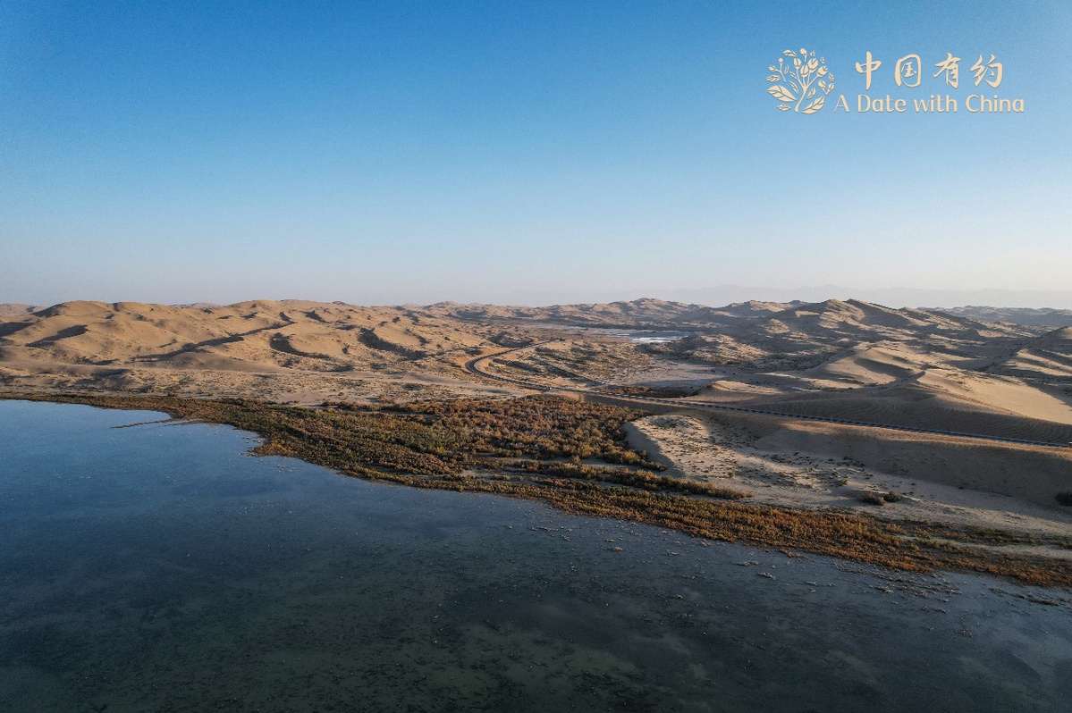 【中国有约】一半湖水一半沙 外籍媒体人惊喜“解锁”博斯腾湖：这里的“湖”鸥是吃馕长大的！