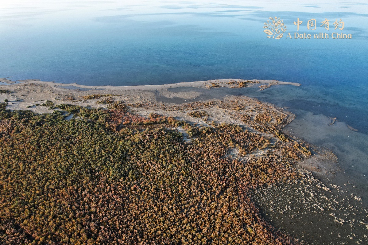 _为什么抖音不显示取货码_腹直肌康复多久做一次