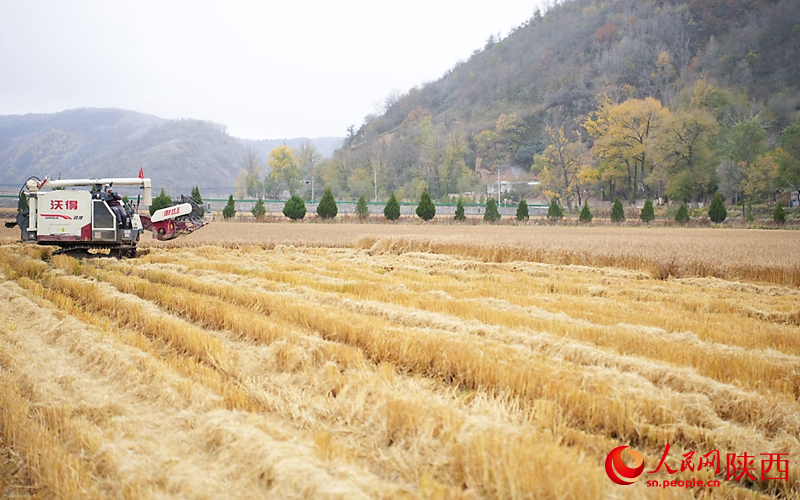 延安出发自驾游去哪里好玩_延安出发自驾游线路_