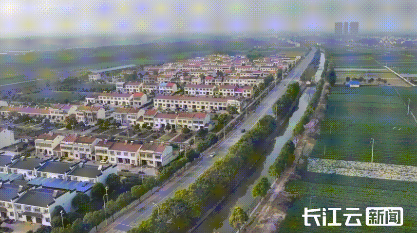 _挑大梁挑怎么读_挑大梁当主角