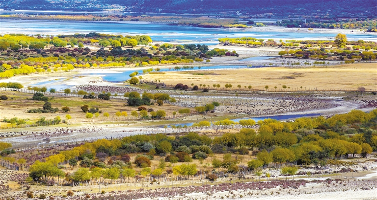 逐绿前行 向美发展