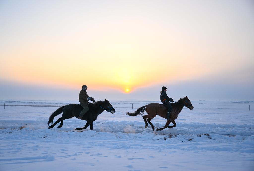 “十四冬”城市故事|天天都有那达慕,这里是陈巴尔虎旗