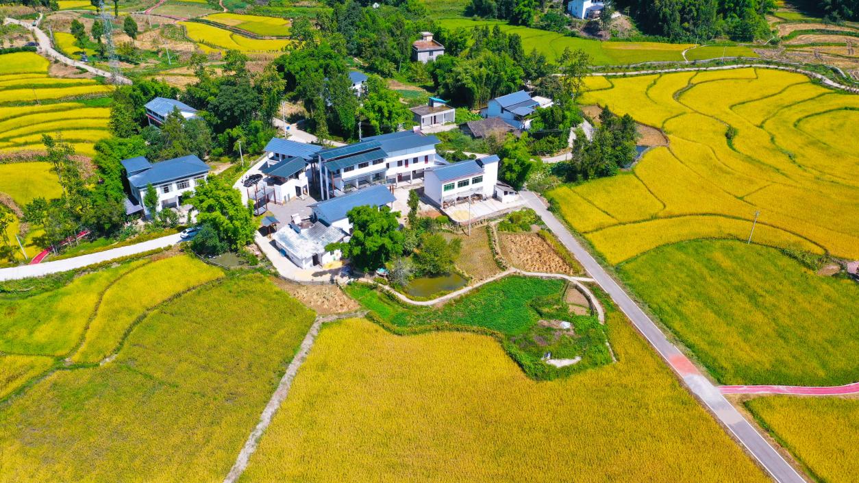 “长兴大院”装扮“和谐美丽乡村”