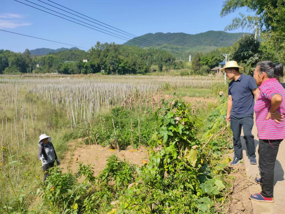 周郑(右二)走访群众收集意见。黄亚辉摄
