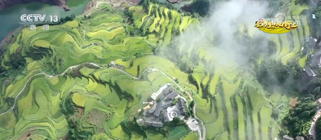 新田野科技有限公司怎么样__新田野科技