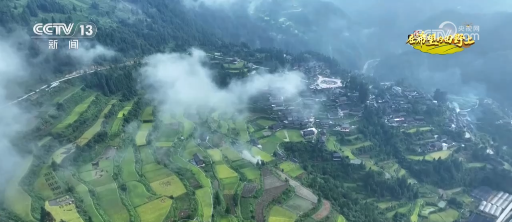 新田野科技有限公司怎么样__新田野科技