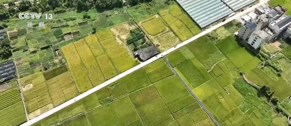 新田野科技__新田野科技有限公司怎么样