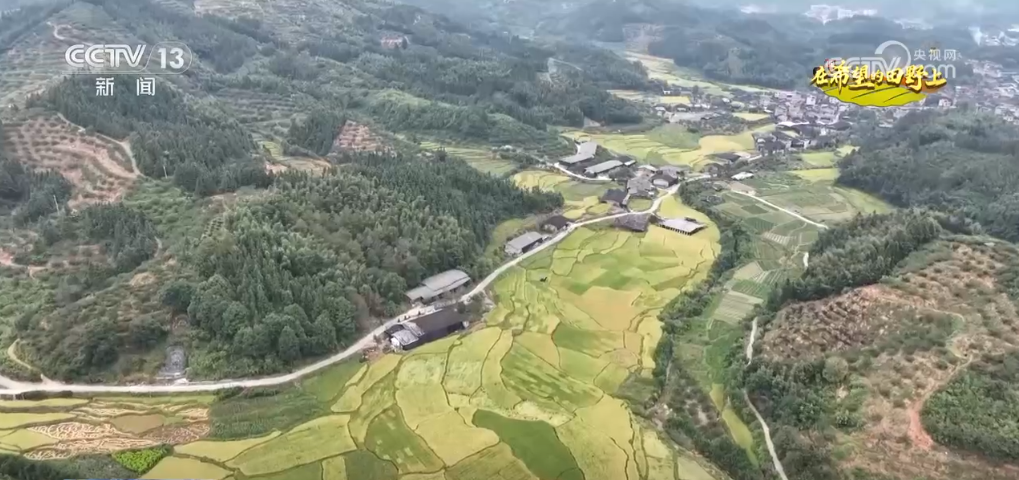 新田野科技_新田野科技有限公司怎么样_