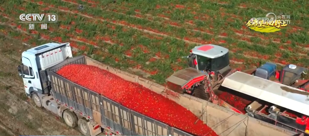 新田野科技有限公司怎么样__新田野科技