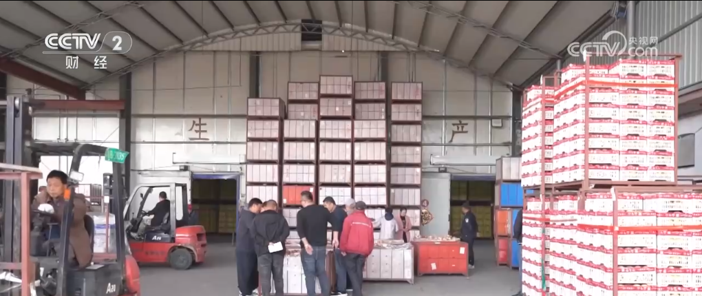 _甜桃喜丰收 鱼跃秋捕忙 青山绿水间唱响丰收“欢歌”_甜桃喜丰收 鱼跃秋捕忙 青山绿水间唱响丰收“欢歌”