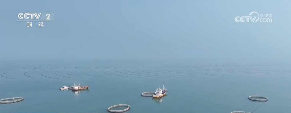 甜桃喜丰收 鱼跃秋捕忙 青山绿水间唱响丰收“欢歌”__甜桃喜丰收 鱼跃秋捕忙 青山绿水间唱响丰收“欢歌”