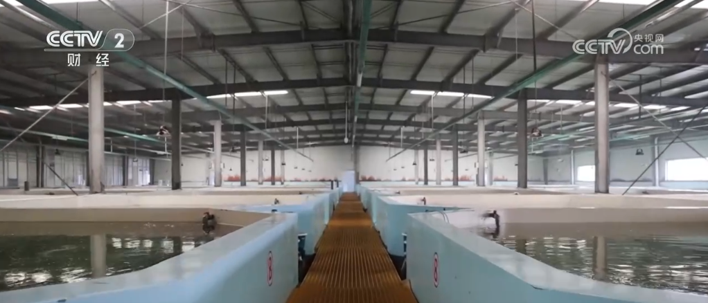 _甜桃喜丰收 鱼跃秋捕忙 青山绿水间唱响丰收“欢歌”_甜桃喜丰收 鱼跃秋捕忙 青山绿水间唱响丰收“欢歌”