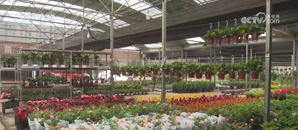 _品德资料各地节日_各地国庆花坛图片