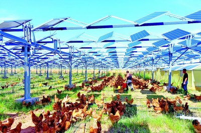 光明日报网页版_光明日报往期在线阅读_