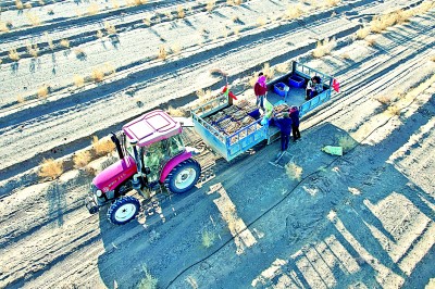 光明日报网页版_光明日报往期在线阅读_