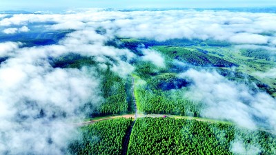 _光明日报网页版_光明日报往期在线阅读