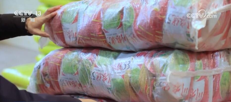 河北石家庄节前接苗备春耕__二次加压供水系统供应生产