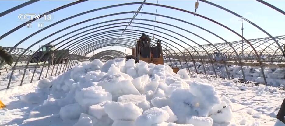 河北石家庄节前接苗备春耕_二次加压供水系统供应生产_