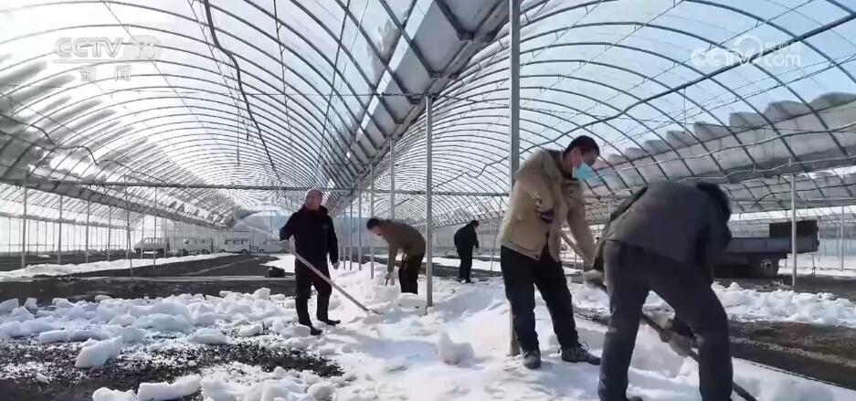 二次加压供水系统供应生产__河北石家庄节前接苗备春耕