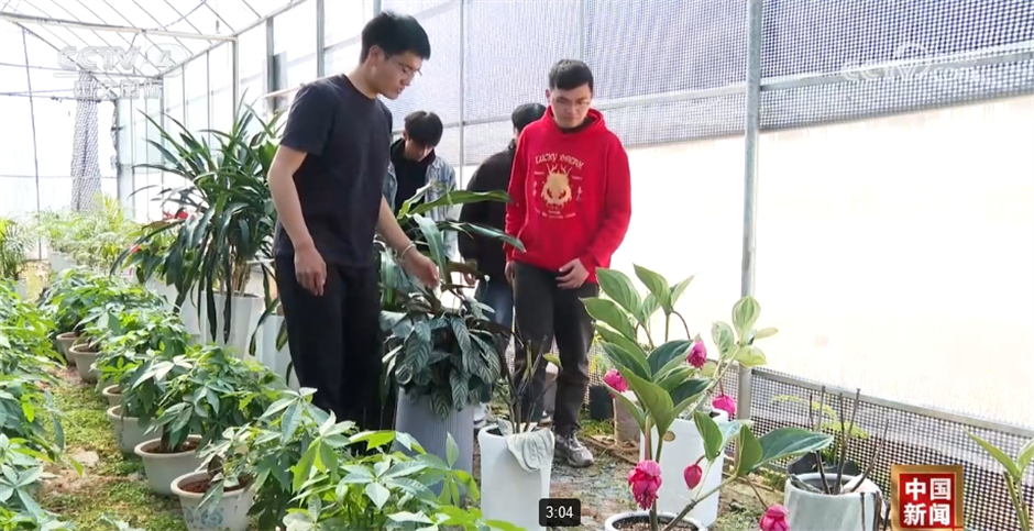 两会我关心|乡村振兴 久久为功__两会我关心|乡村振兴 久久为功