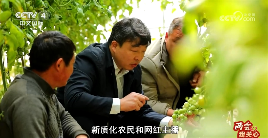 _两会我关心|乡村振兴 久久为功_两会我关心|乡村振兴 久久为功