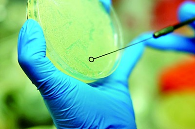 _光明日报百度百科_日报光明出版社和光明出版社