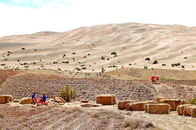 _光明日报百度百科_日报光明出版社和光明出版社