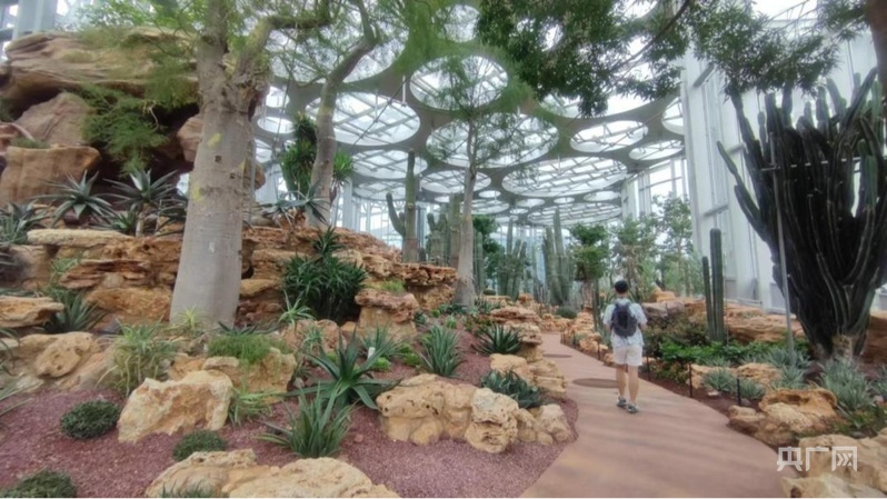 【人民城市·温情中国】上海：擦亮“人民之城”幸福底色__【人民城市·温情中国】上海：擦亮“人民之城”幸福底色