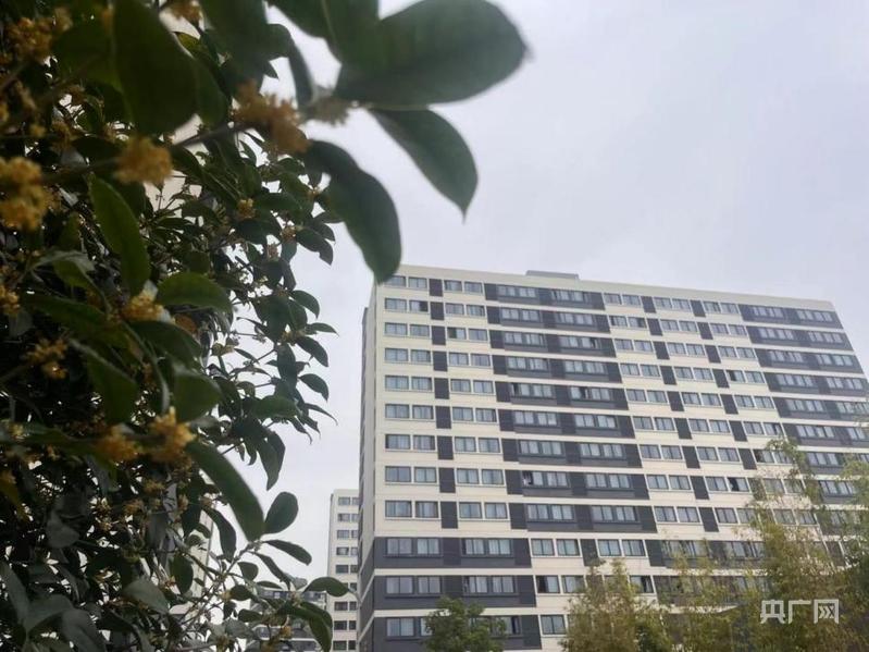 【人民城市·温情中国】上海：擦亮“人民之城”幸福底色__【人民城市·温情中国】上海：擦亮“人民之城”幸福底色