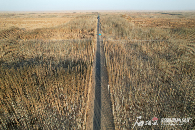 塔克拉玛干沙漠行成__塔克拉玛干沙漠改造计划