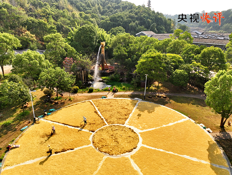 把握发展新机遇谱写发展新篇章_供销事业发展_