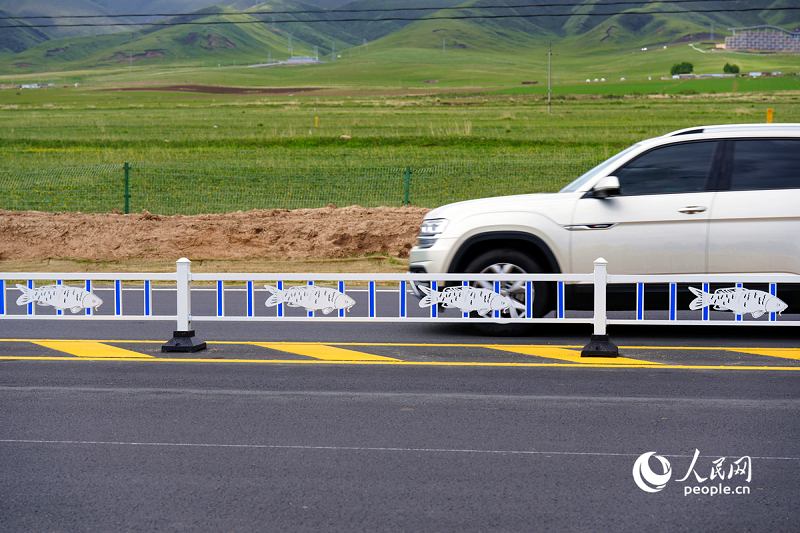 隔离栏上有青海湖裸鲤元素。人民网记者 杨启红摄